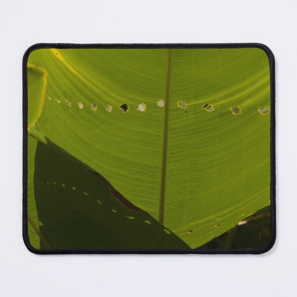Item preview, Carefully Eaten Leaf designed and sold by TinyCameraNinja.