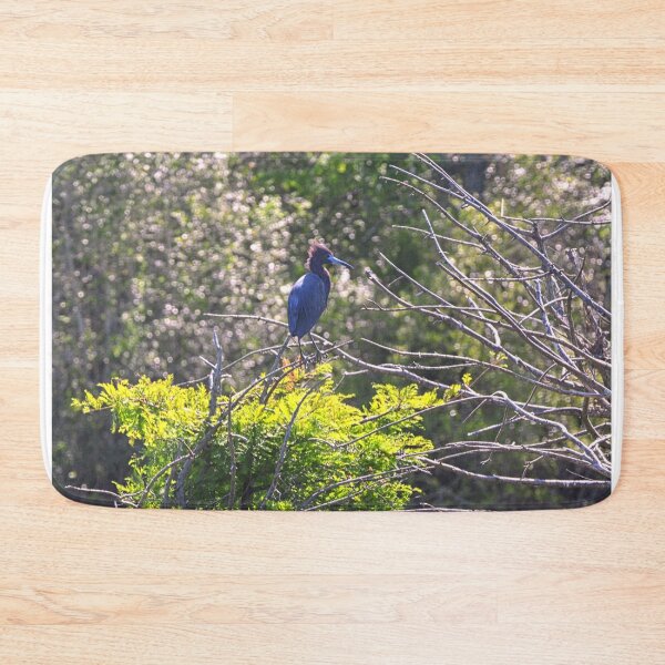 Item preview, Juvenile Little Blue Heron Perched On A Tree designed and sold by LisaWootenPhoto.