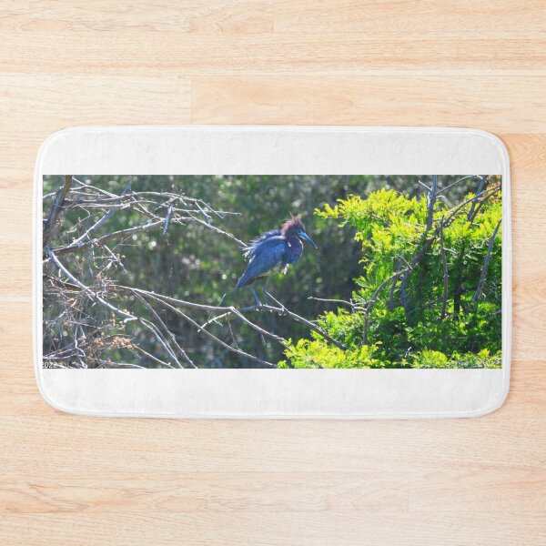 Item preview, Little Blue Heron Panorama designed and sold by LisaWootenPhoto.