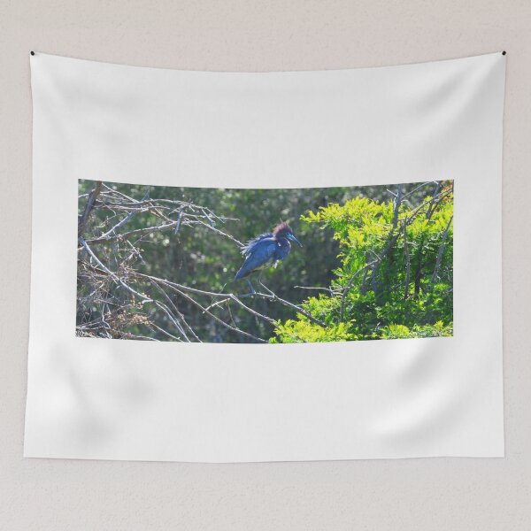Item preview, Little Blue Heron Panorama designed and sold by LisaWootenPhoto.