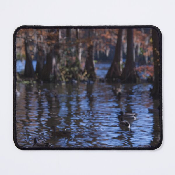 Item preview, Ducks and Cypress Trees designed and sold by TinyCameraNinja.