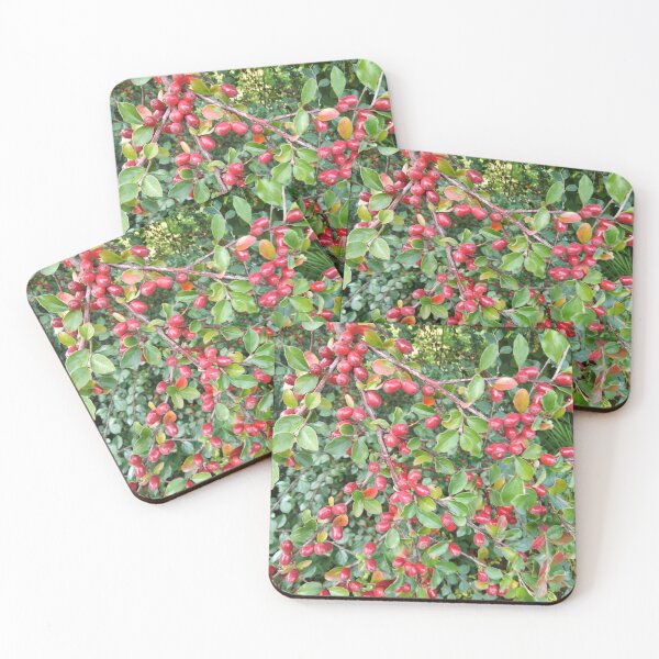 Item preview, The autumn carnival is here designed and sold by Raigitam.