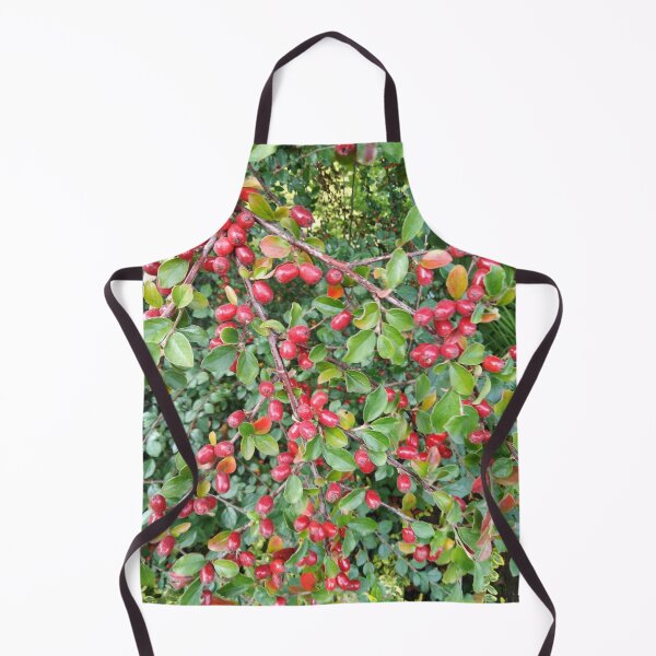 Item preview, The autumn carnival is here designed and sold by Raigitam.