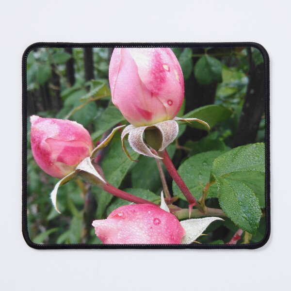 Item preview,  The beauty of a new beginning - stunning designed and sold by Raigitam.
