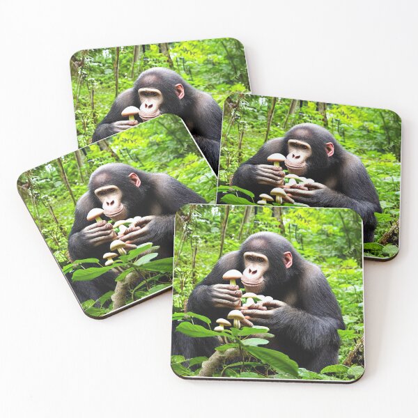 Item preview, Proof of the Stoned Ape Theory designed and sold by SubtleSplit.