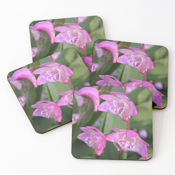 Item preview, Australian Native Orchids. designed and sold by Trish Meyer.