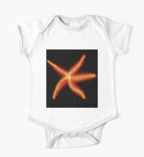 Seestern 3 Baby Body Kurzarm