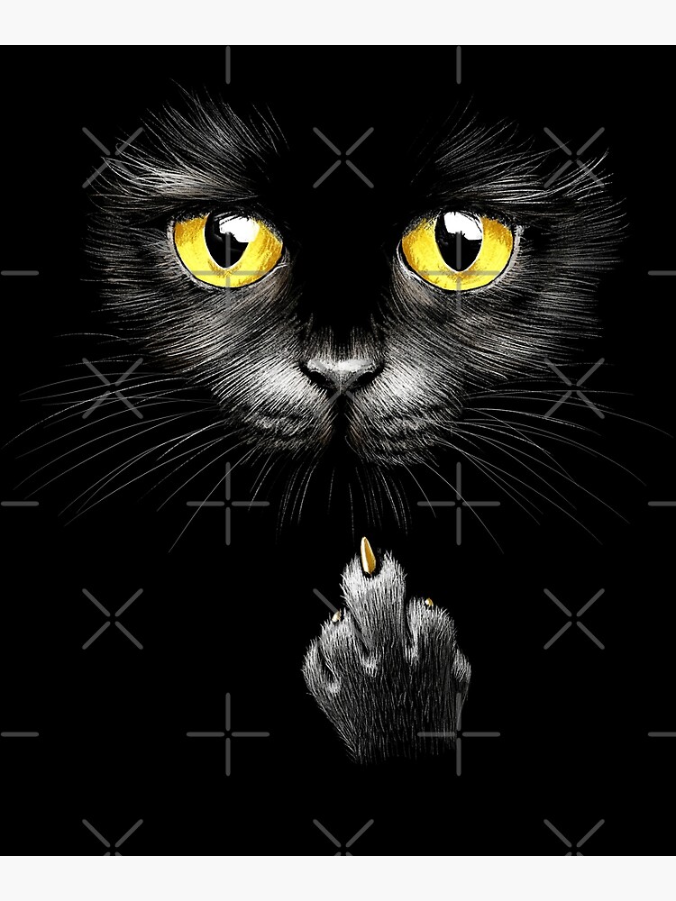 Fotodruck mit Freche Bombay Katze Mittelfinger Hauskatze von FD-Design