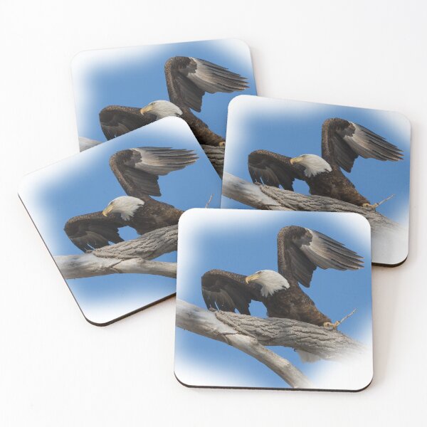 Item preview, Eagle Taking off from Branch designed and sold by rmyerphoto.