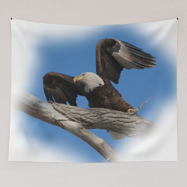 Item preview, Eagle Taking off from Branch designed and sold by rmyerphoto.