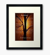 Desiderata silhouette tree with a beautiful orange sunset Framed Print