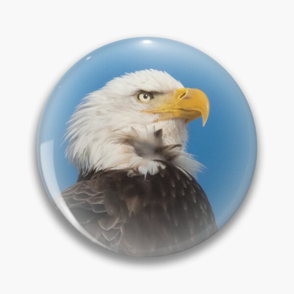 Item preview, Eagle Looking Left Close-up designed and sold by rmyerphoto.