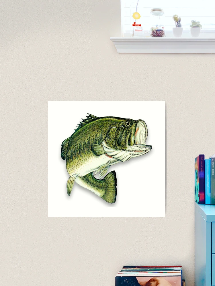 Large Mouth Bass 3D Torn Paper Hole Ripped Effect Decal Wall