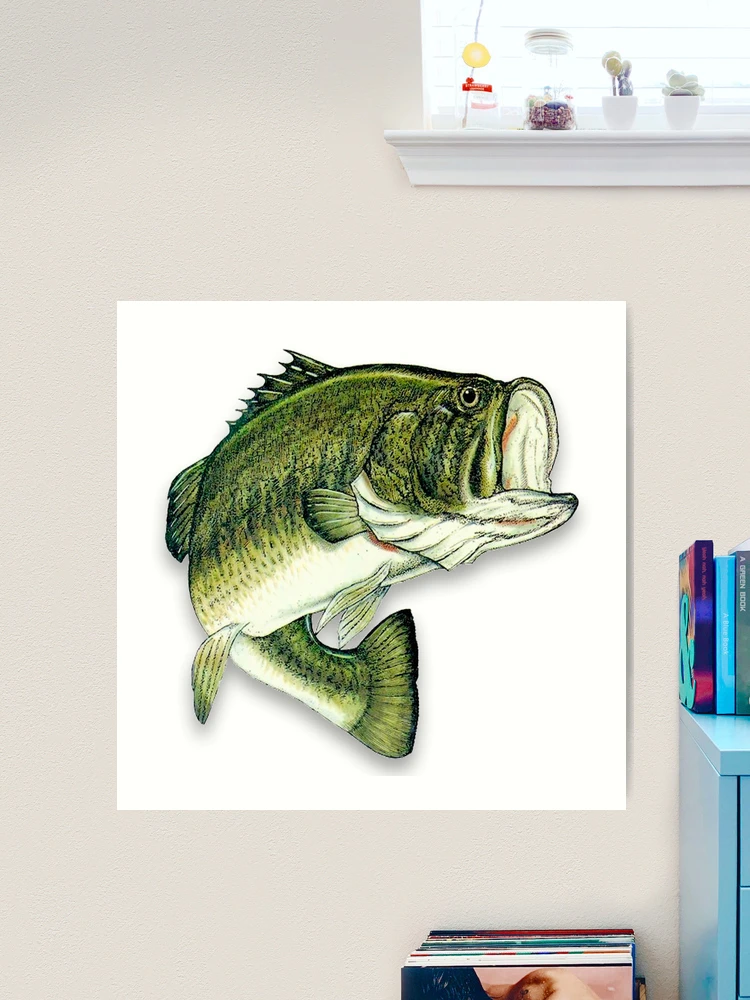 Large Mouth Bass Art Print for Sale by thatstickerguy