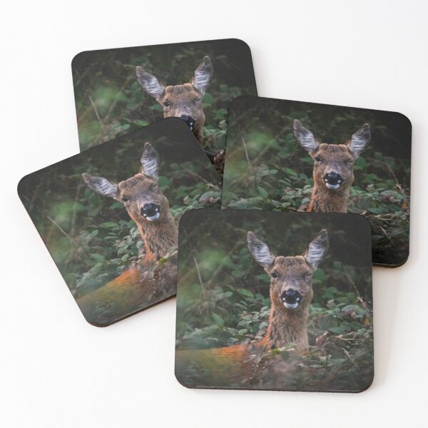 Item preview, Roe deer in the Forest designed and sold by Claire Hawken.