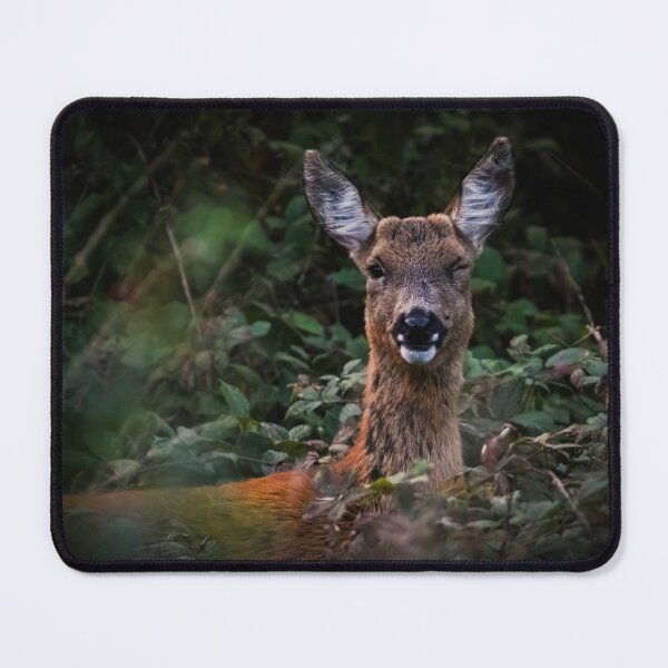 Item preview, Roe deer in the Forest designed and sold by Claire Hawken.