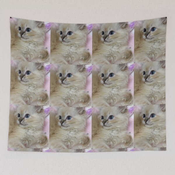 Item preview, Cute ragdoll baby girl designed and sold by Fluffycat2020.