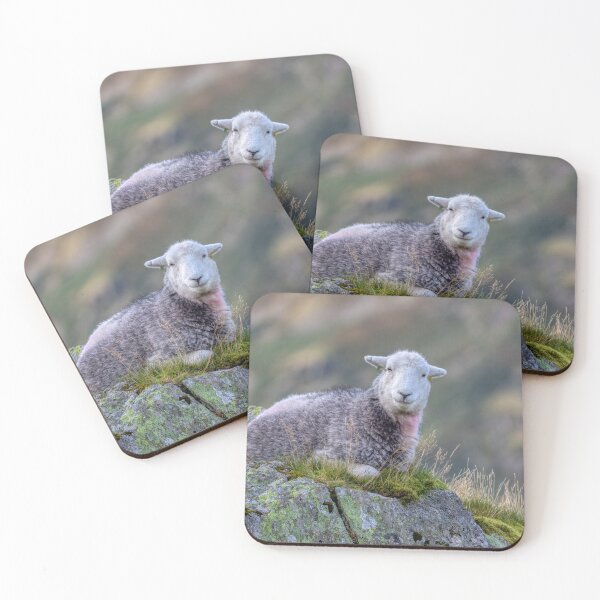 Item preview, Herdwick Sheep on a Lakeland Fell designed and sold by derekbeattie.