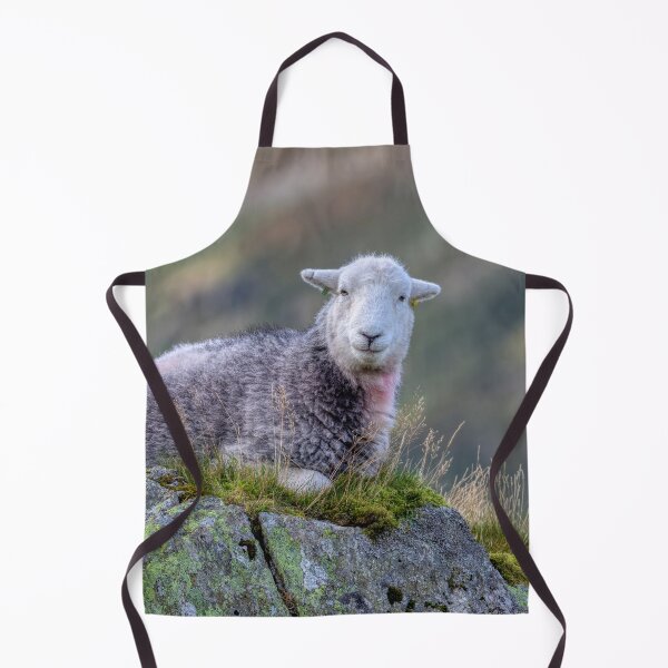 Item preview, Herdwick Sheep on a Lakeland Fell designed and sold by derekbeattie.