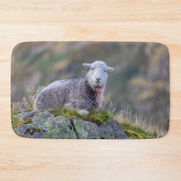 Item preview, Herdwick Sheep on a Lakeland Fell designed and sold by derekbeattie.