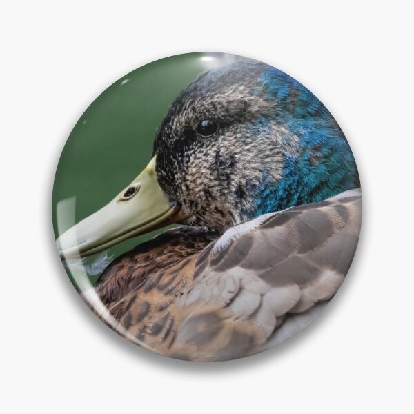 Item preview, Mallard Drake designed and sold by Claire Hawken.