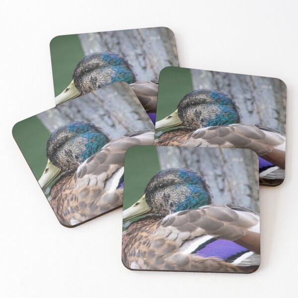Item preview, Mallard Drake designed and sold by Claire Hawken.