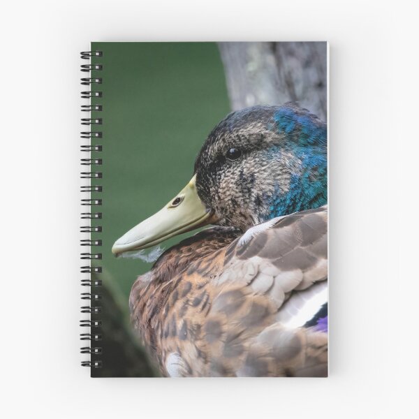 Item preview, Mallard Drake designed and sold by Claire Hawken.