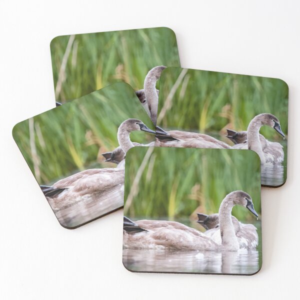 Item preview, Cisnes mudos designed and sold by Claire Hawken.