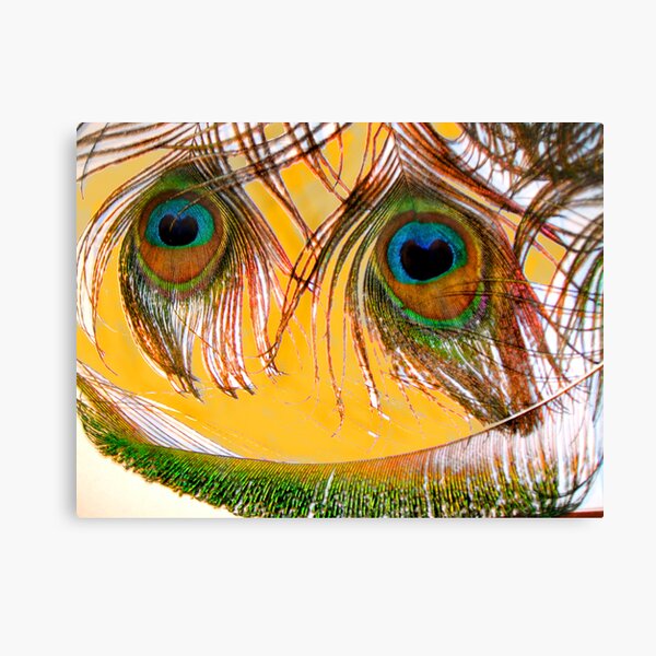 Here is Looking At You Canvas Print