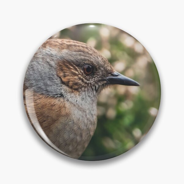 Item preview, Dunnock in the heather designed and sold by Claire Hawken.