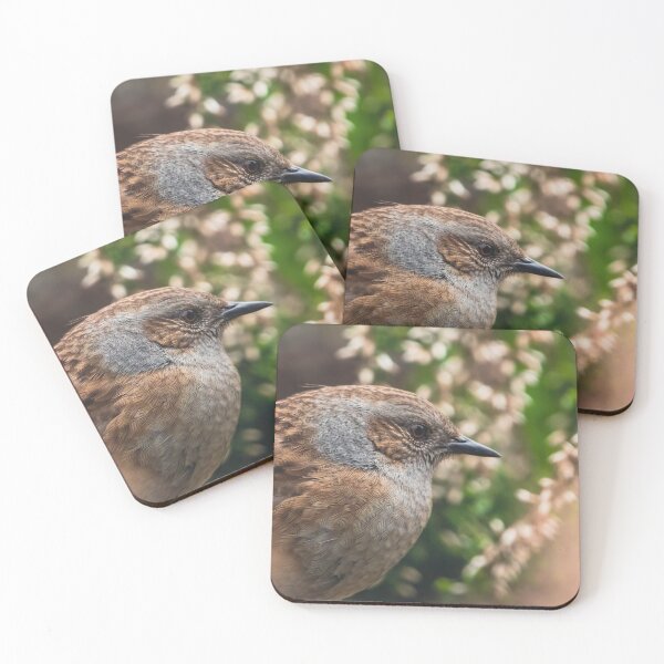 Item preview, Dunnock in the heather designed and sold by Claire Hawken.