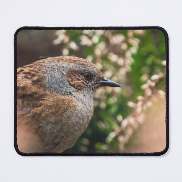 Item preview, Dunnock in the heather designed and sold by Claire Hawken.