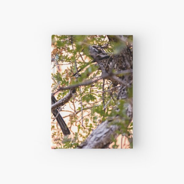 Blue Bird Holding Acorn in Tree Hardcover Journal