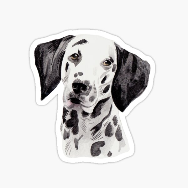 "Dalmatian dog" Sticker for Sale by Pepitodesign Redbubble