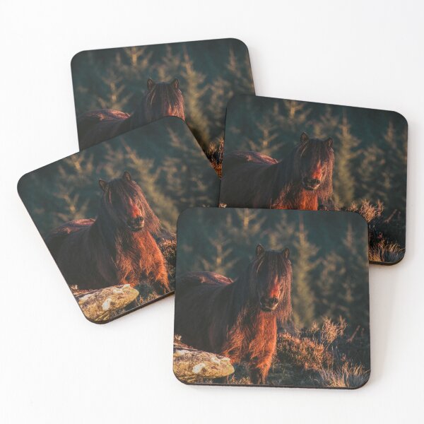 Item preview, Dartmoor Pony in the sunset designed and sold by Claire Hawken.