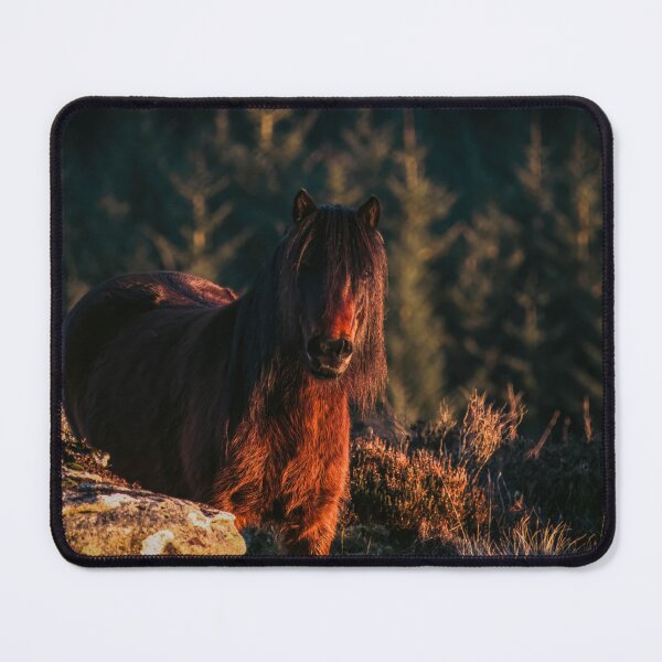 Item preview, Dartmoor Pony in the sunset designed and sold by Claire Hawken.