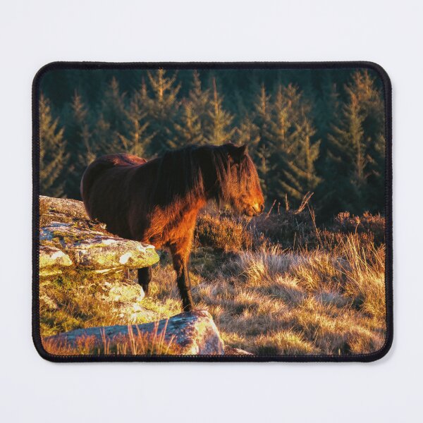 Item preview, Dartmoor pony on Bellever tor designed and sold by Claire Hawken.