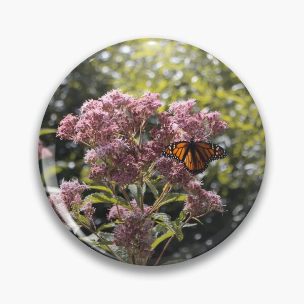 Butterfly Pin