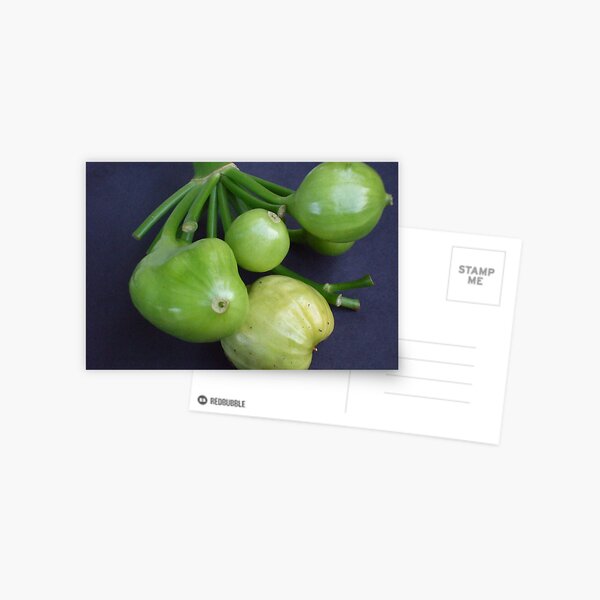 RIPE Postcard