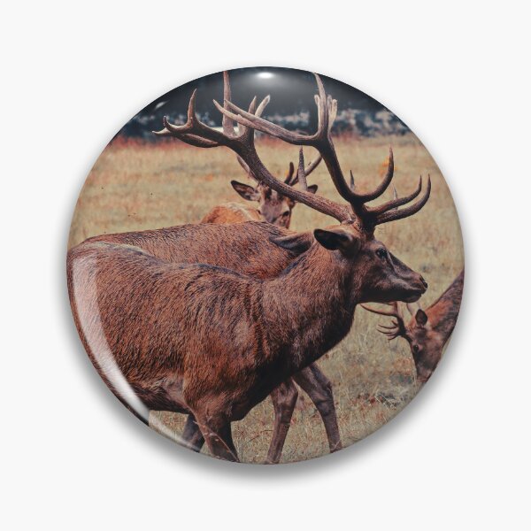 Item preview, Red Stags designed and sold by Claire Hawken.