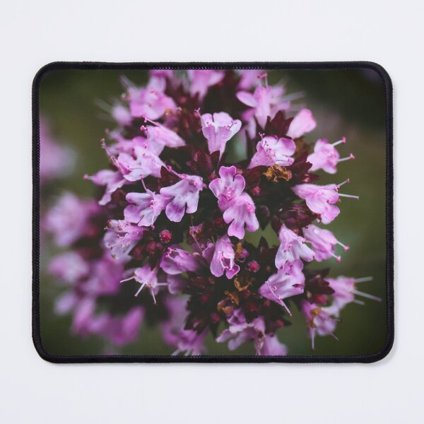 Item preview, Oleander designed and sold by Claire Hawken.