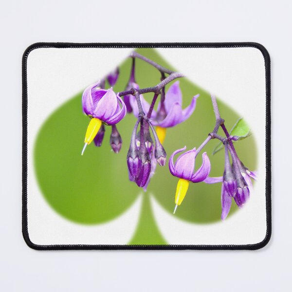 Item preview, Bittersweet  designed and sold by rmyerphoto.
