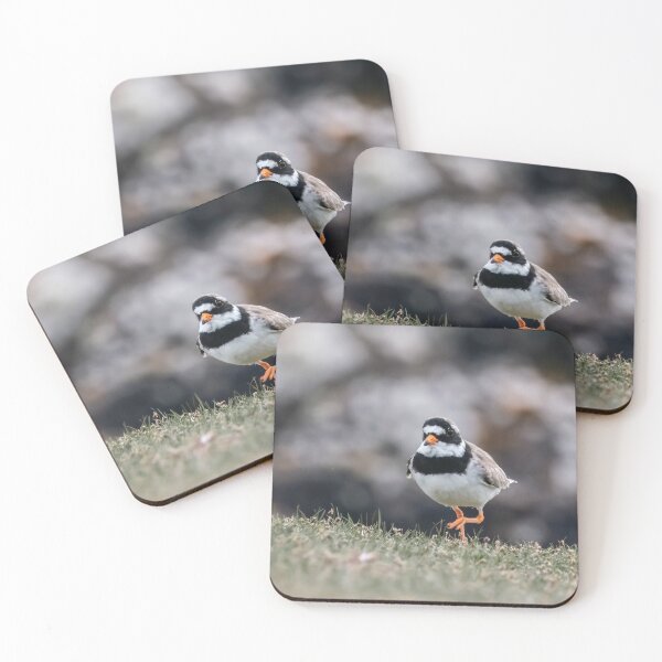 Item preview, Ringed Plover on Shetland designed and sold by Claire Hawken.