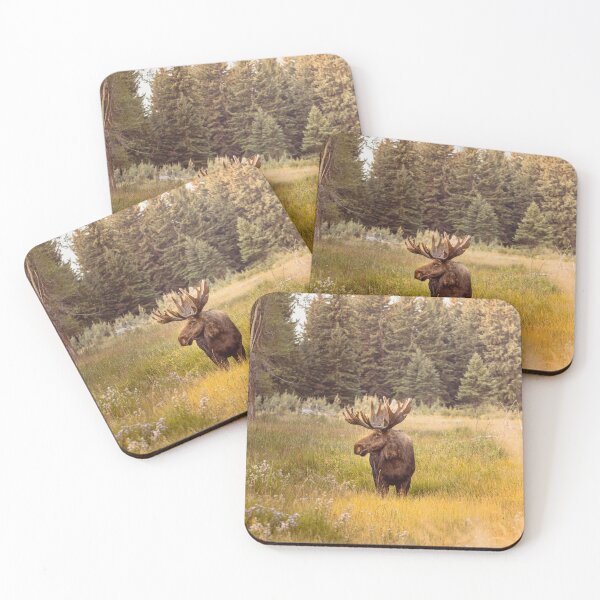 Item preview, Moose in Wyoming Photography Print designed and sold by JakobWandel.