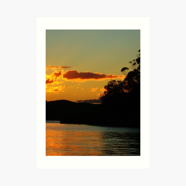 Black trees and sunlight Art Print