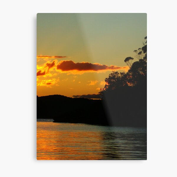 Black trees and sunlight Metal Print