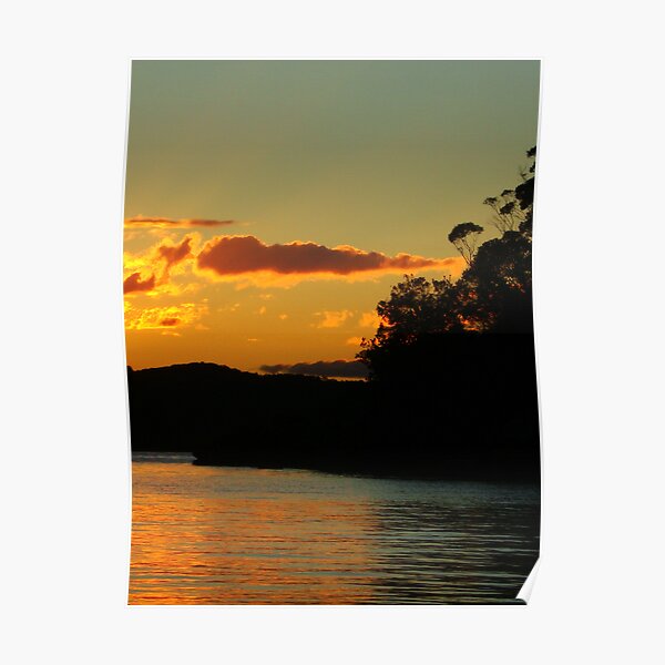 Black trees and sunlight Poster
