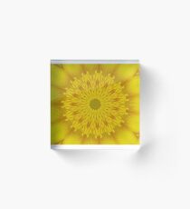 Buttercup middle image manipulation Acrylic Block