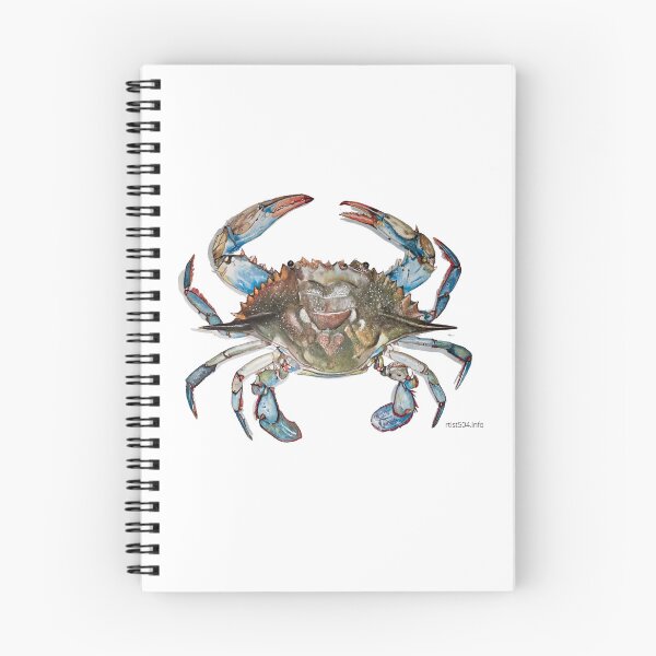 Artikelvorschau, Hochauflösendes digitales Bild meines Aquarells "Blaue Krabbe" entworfen und verkauft von rtist504.