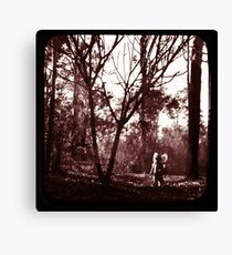Fae Whispers ii Canvas Print